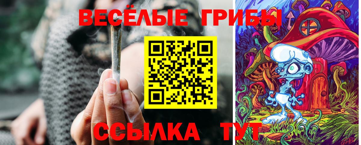 Псилоцибиновые грибы прущие грибы  Вход с VPN  Коммунар 