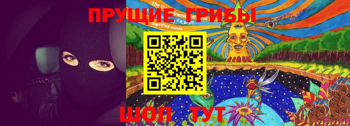 Псилоцибиновые грибы Psilocybe Коммунар